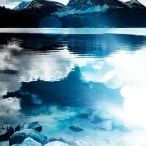 Meet your Posher, Brock